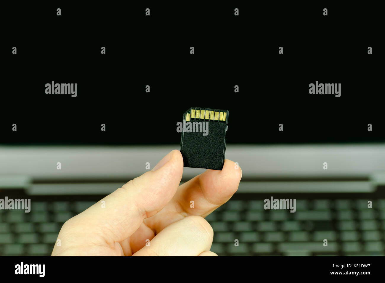 Close-up view of a hand holding a black SD memory card with a background laptop, isolated in the background Stock Photo