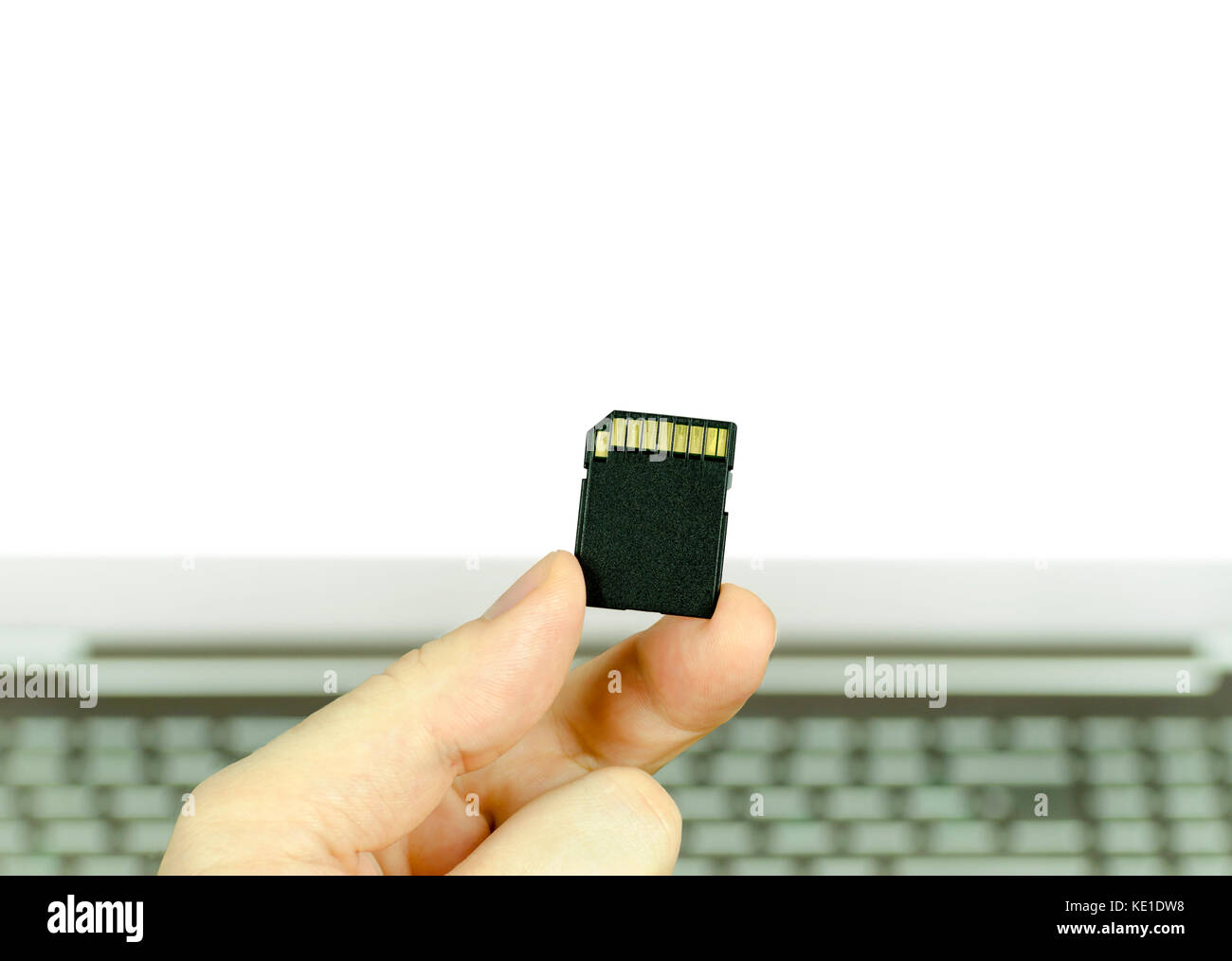 Close-up view of a hand holding a black SD memory card with a laptop, isolated in white background Stock Photo
