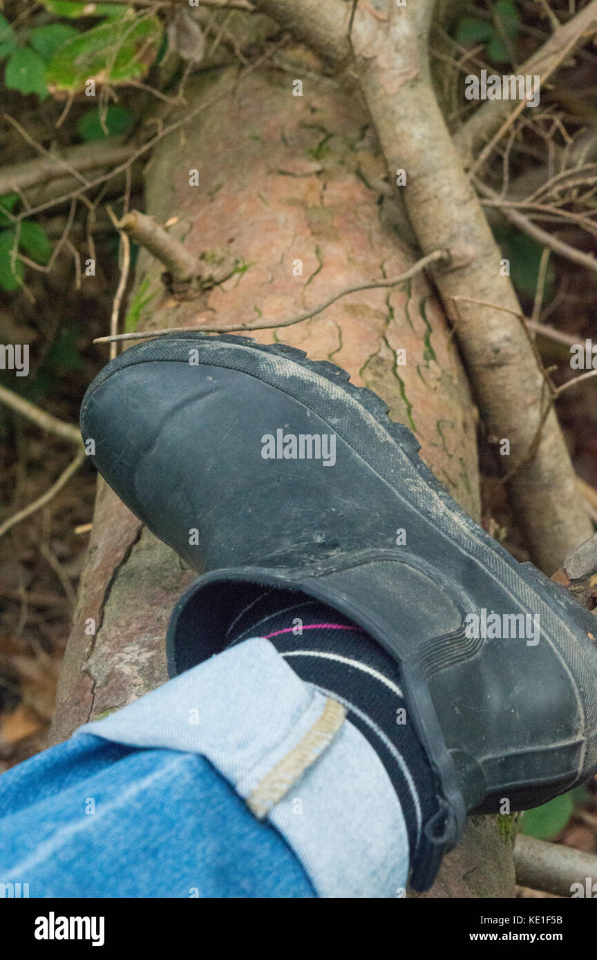 lady wearing muddy Chelsea welly boot climbing over fallen tree, countryside, fresh air - photo Stock Photo