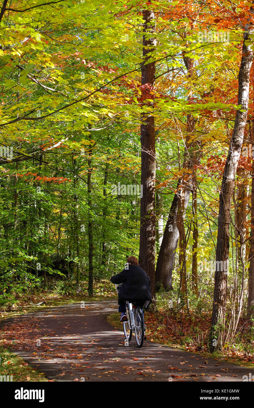 A senior citizen rides on a bike through through an autumn path with bright fall colors in October in Michigan Stock Photo