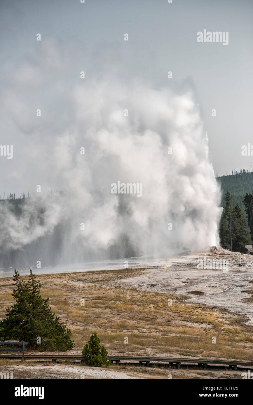 The eruption sequence of the Old Faithful water and steam geyser at Old ...