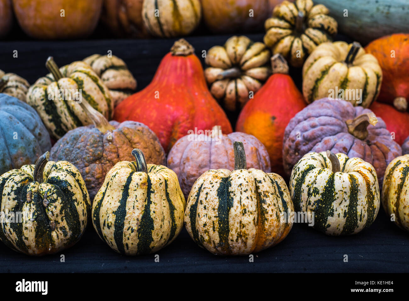 Collection of pumpkins at a farmers market Stock Photo - Alamy