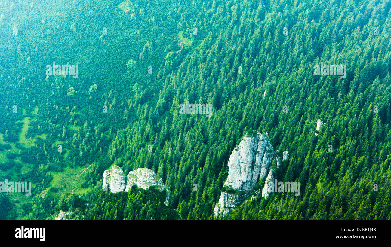 texture of mountain, details in green forest Stock Photo Alamy