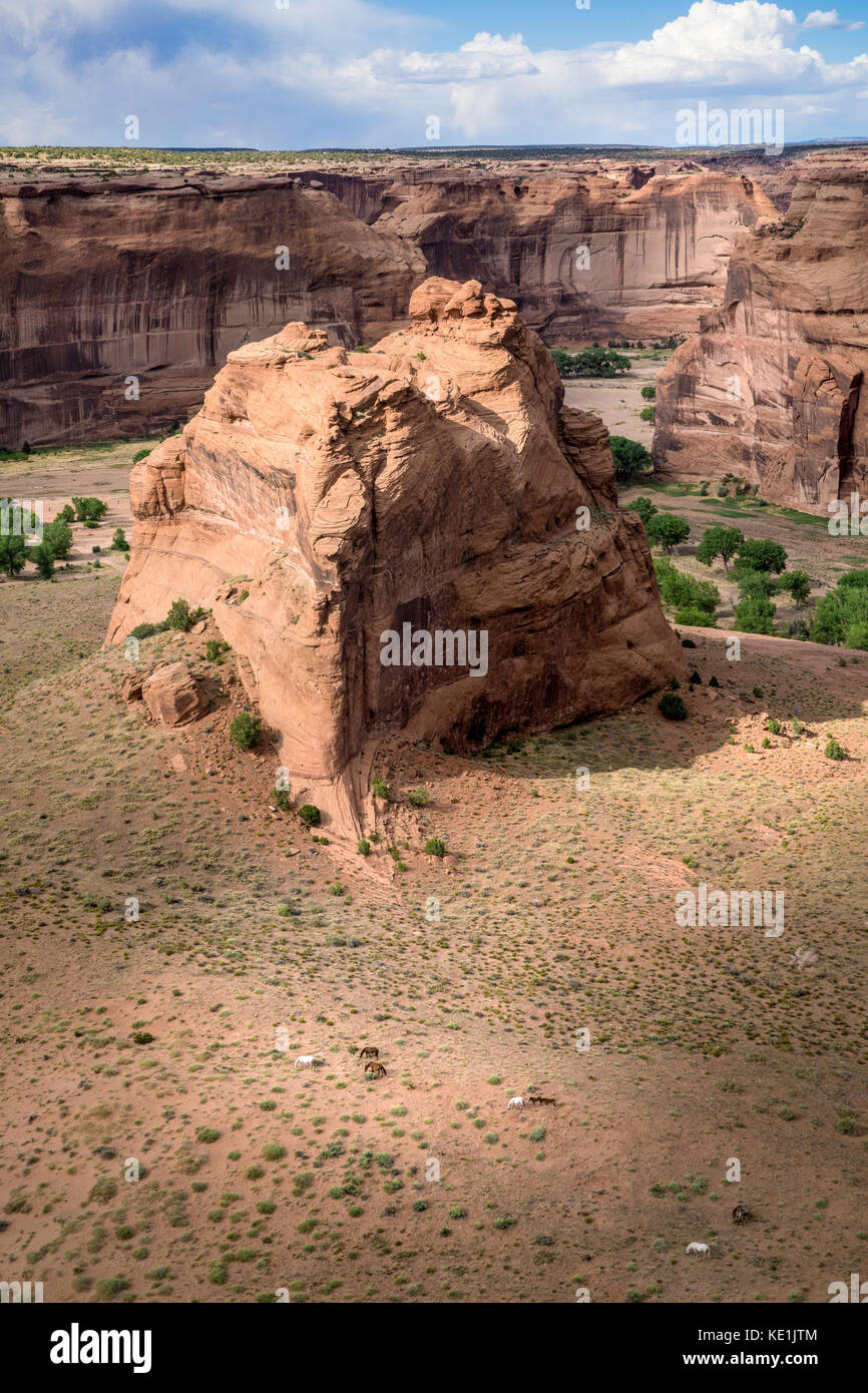 Sandstone butte with horses grazing the valley floor, Canyon de Chelly National Monument, Arizona, USA Stock Photo