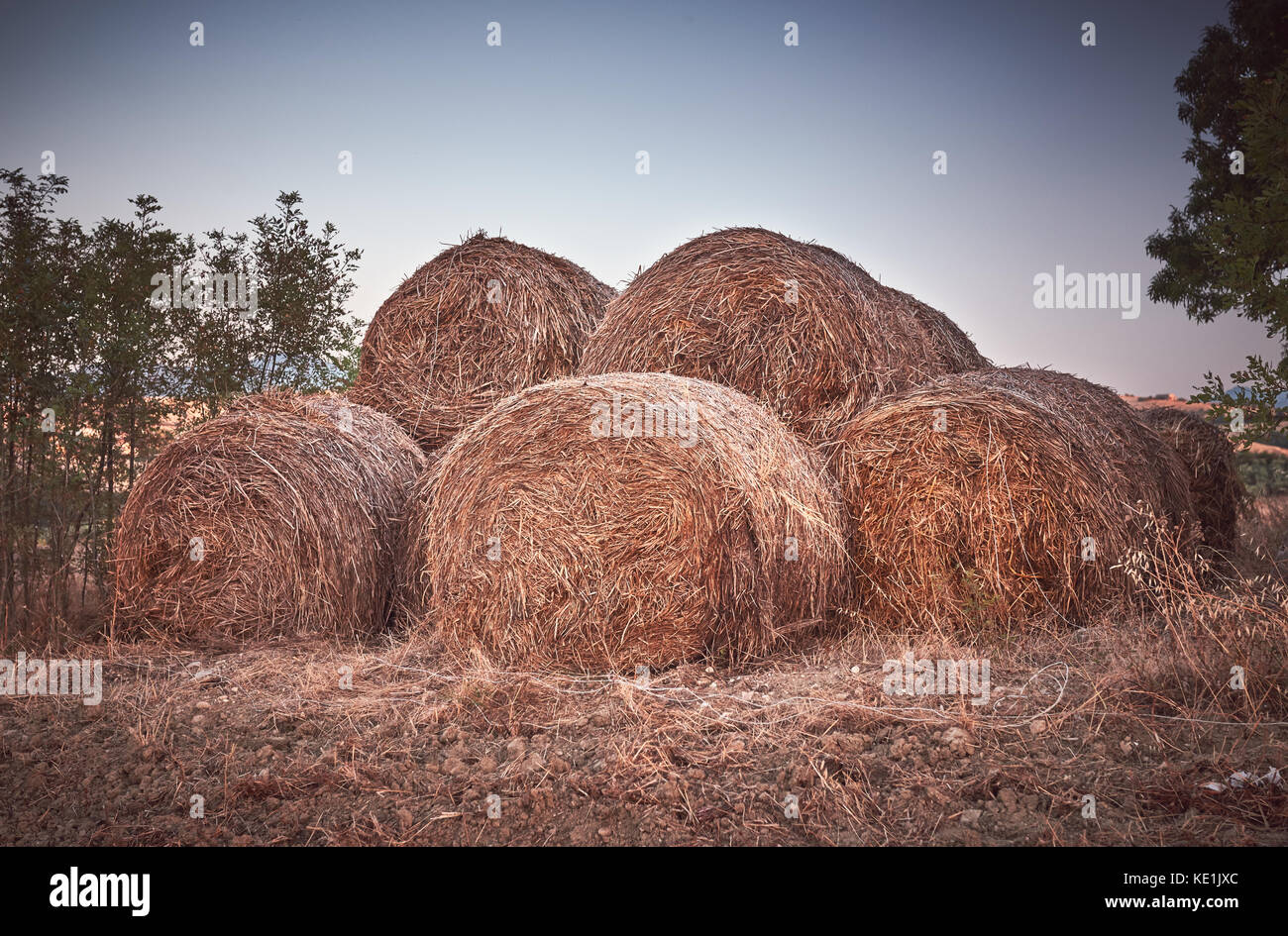 Old hay bales in rural field Stock Photo Alamy