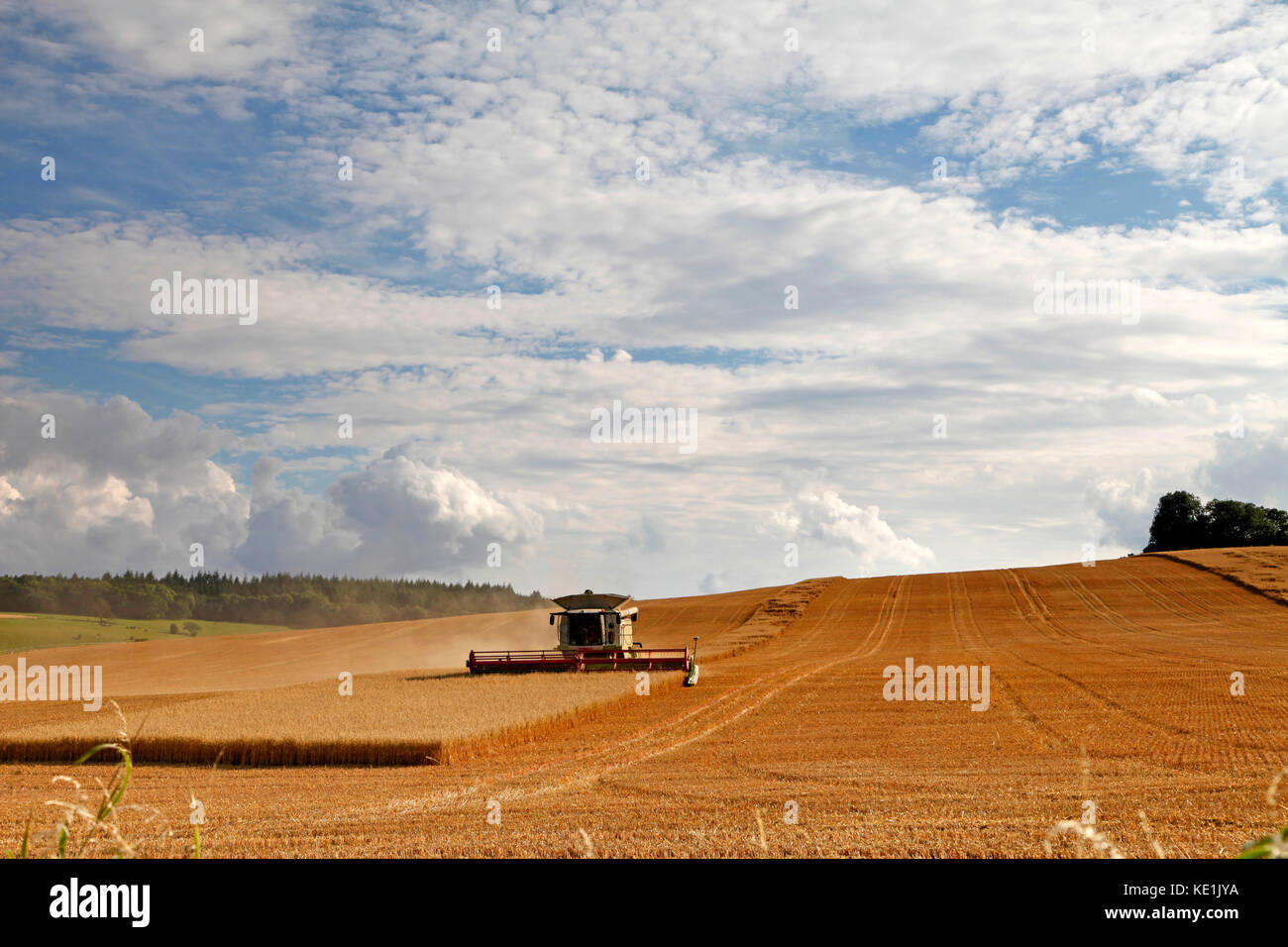 Harvesting oats near the village of Great Wishford in Wiltshire. Stock Photo