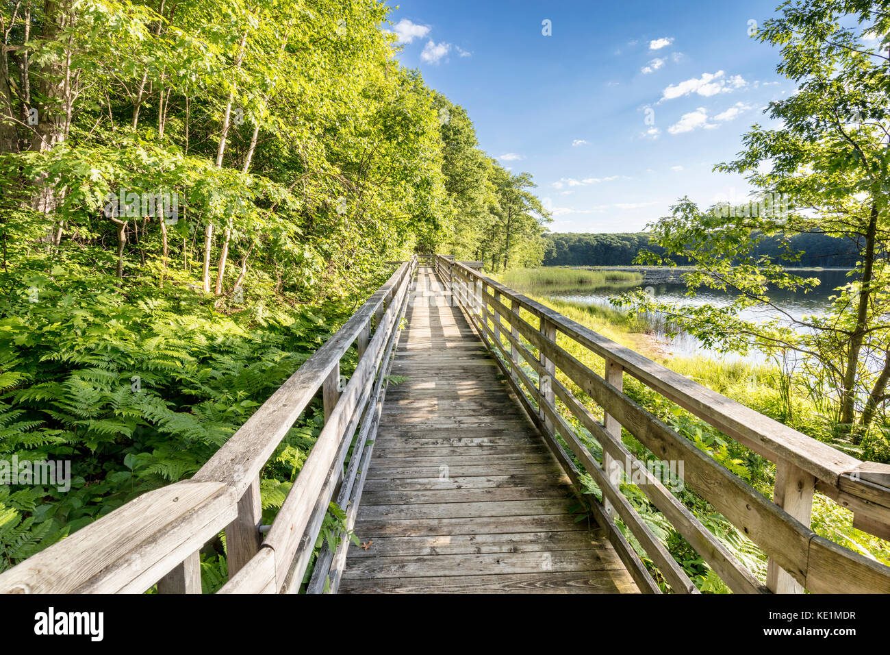 Boardwalk passing through Kettle's Lake marsh in Awenda Provincial Park
