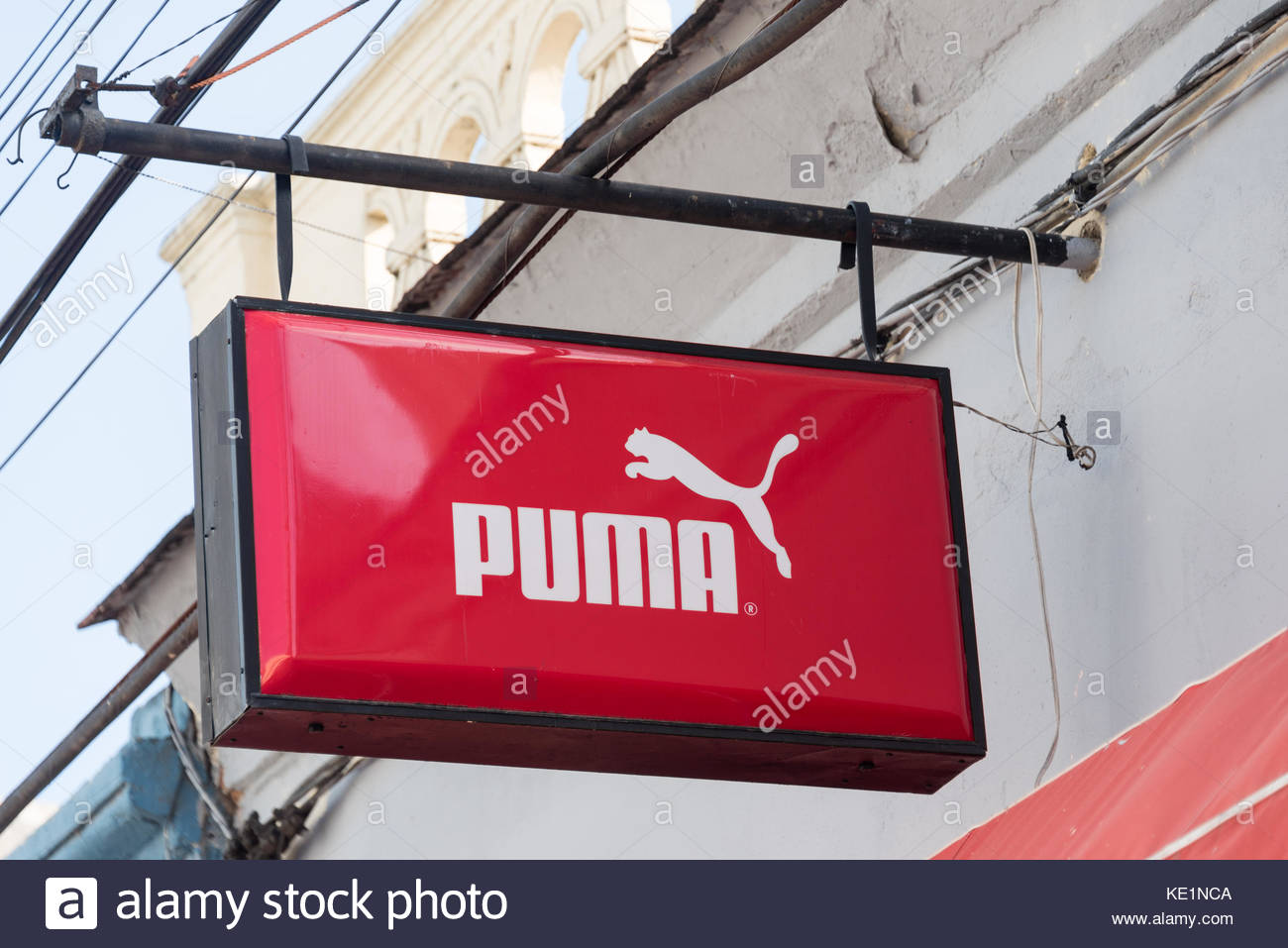 puma brand name