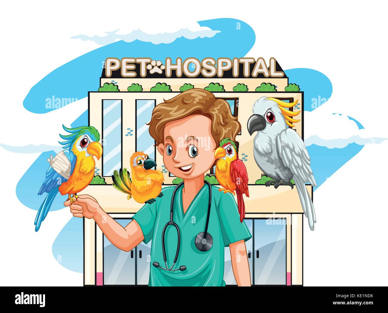 Vet and parrots at the hospital illustration Stock Vector Image & Art Alamy