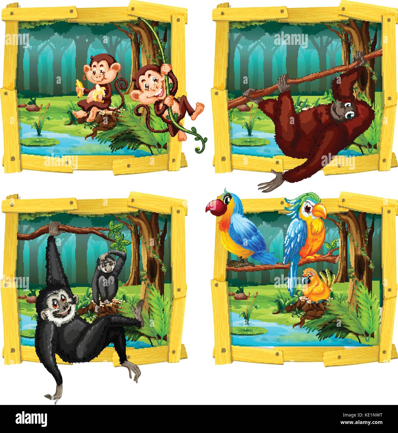 Wild animals in wooden frame illustration Stock Vector Image & Art - Alamy