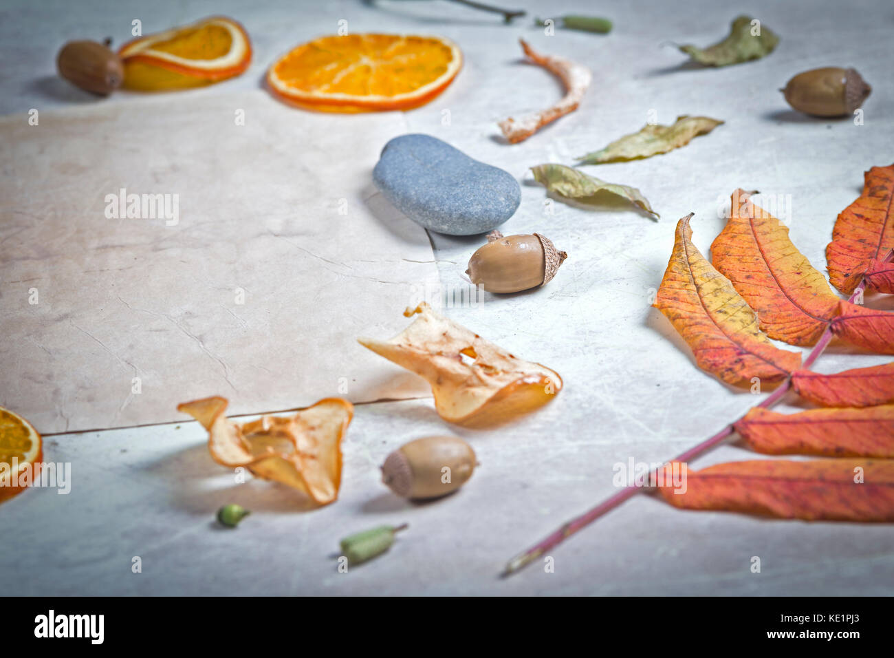 Various Autumnal Objects Chaotically Arranged on the Top of Bright Rustic Table Stock Photo