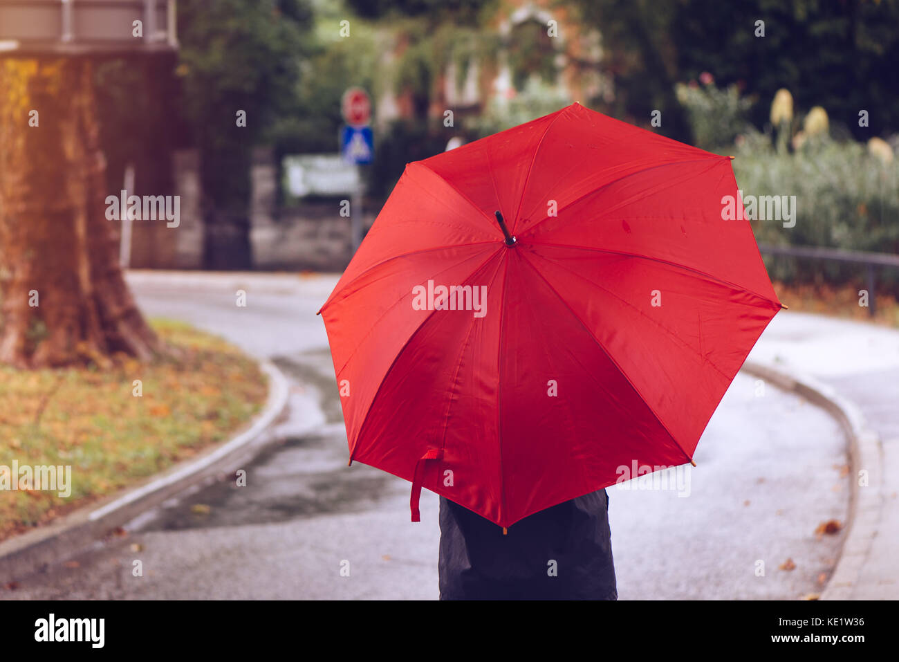 Woman with red umbrella walking on the street on a rainy autumn day ...