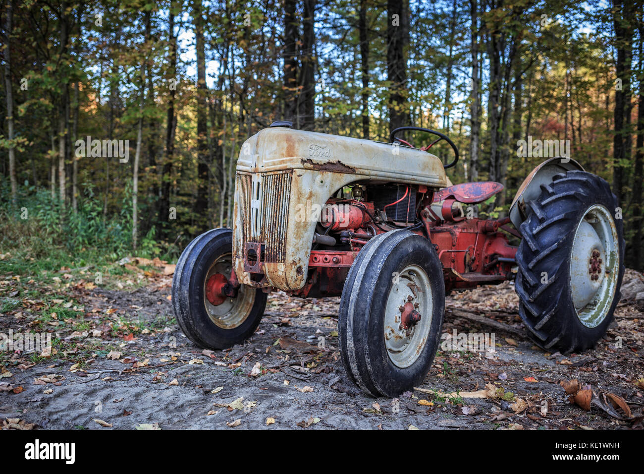 A Rusty Old Vintage Ford Farm Tractor In The Woods Springfield New Stock Photo Alamy