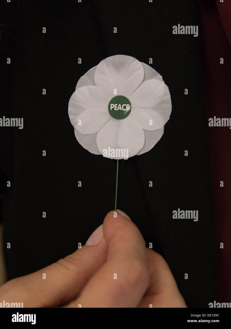 White poppies on sale at the Friends House in London, ahead of