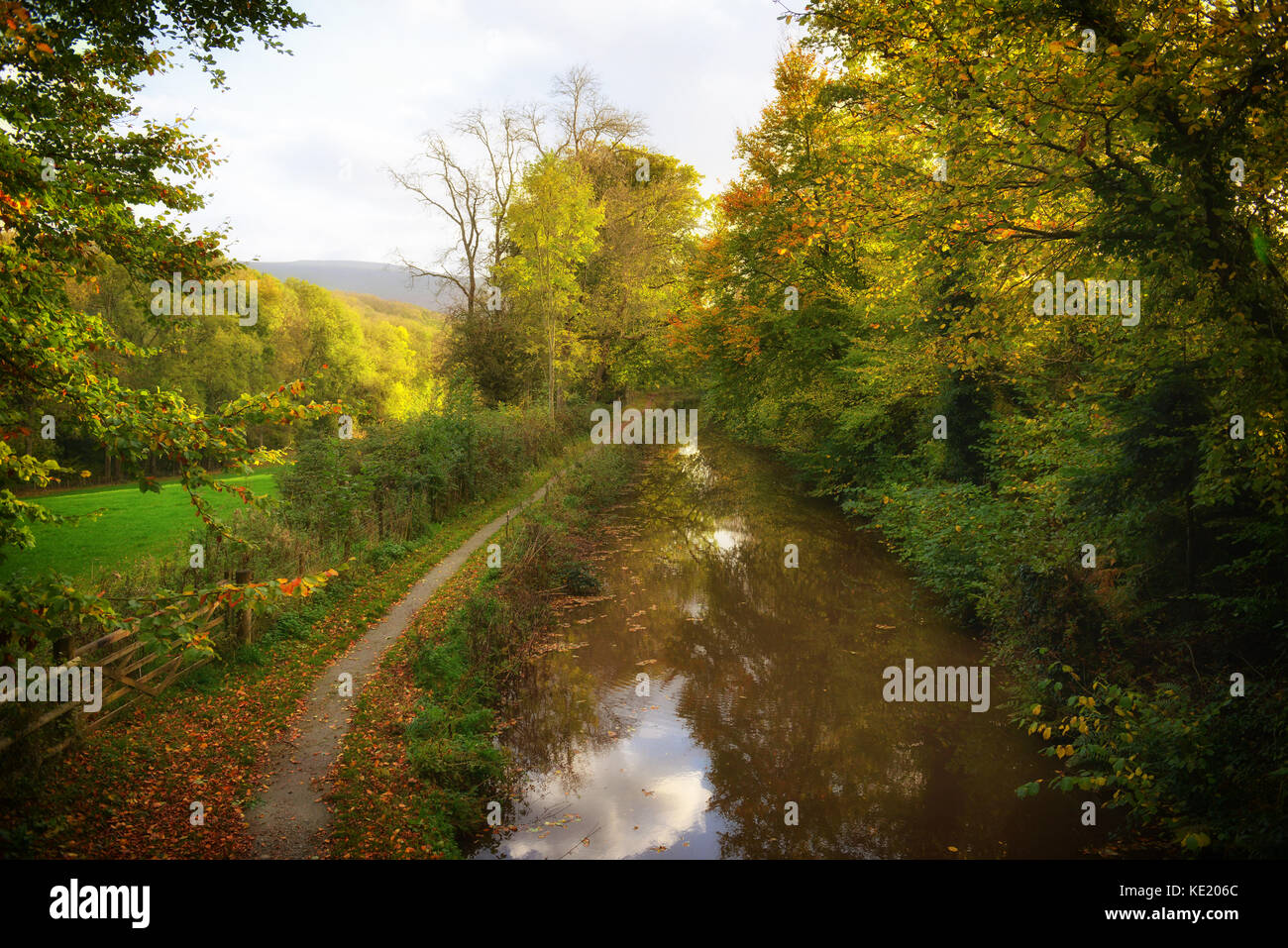 Woodland waterways hi-res stock photography and images - Alamy