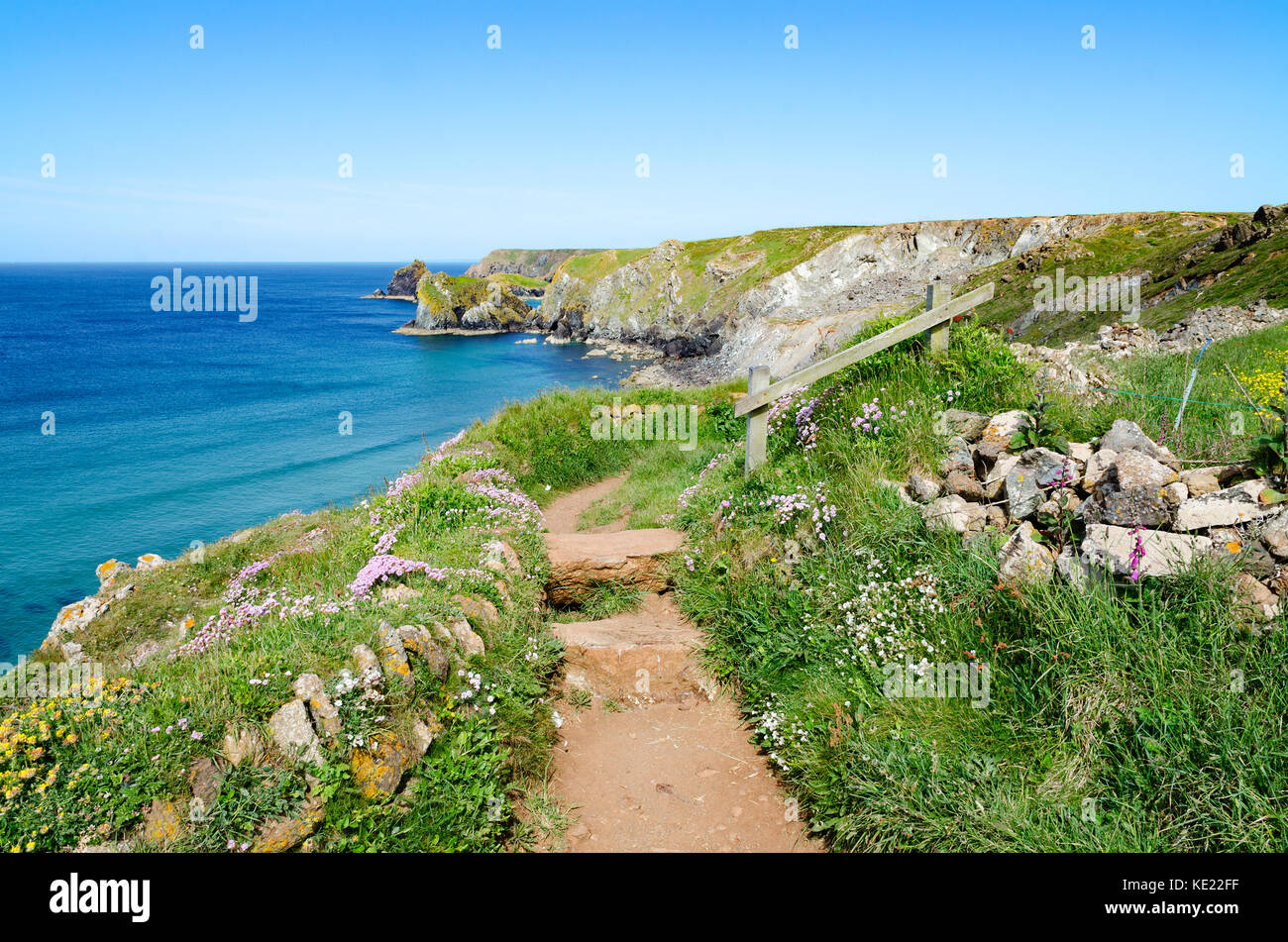 southwest coast path on the lizard peninsular in cornwall, england, britain, uk. Stock Photo