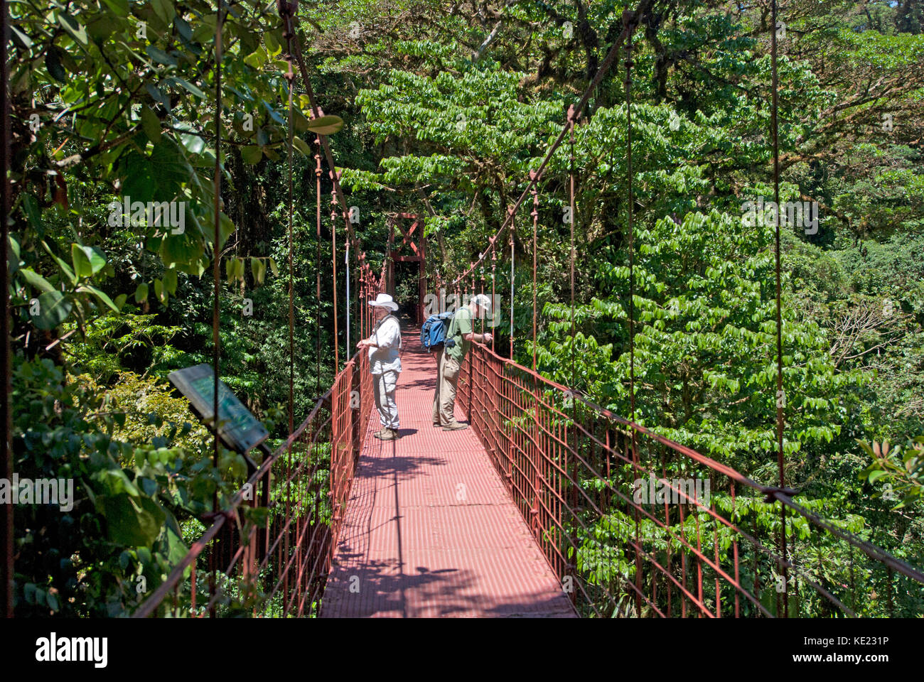 Tourists looking at the jungle canopy at Monteverde natural reserve in Costa Rica Stock Photo