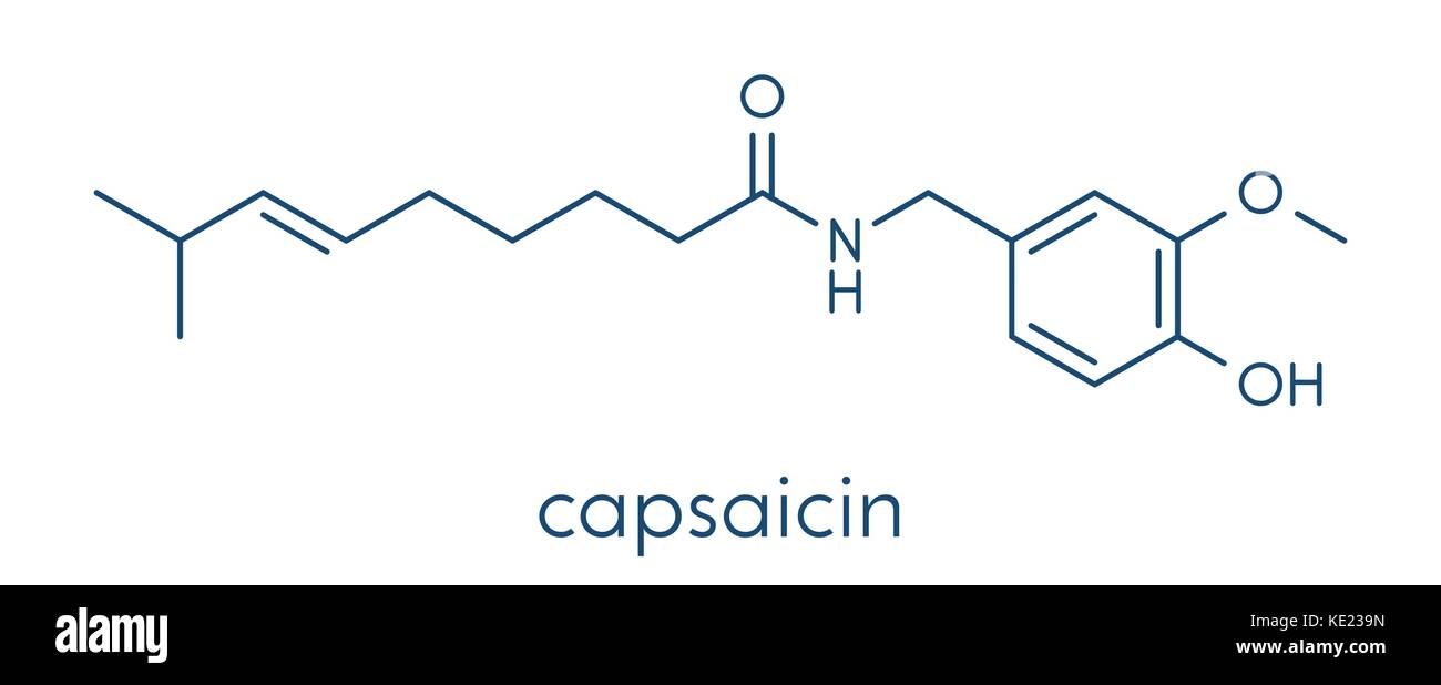 Capsaicin chili pepper molecule. Used in food, drugs, pepper spray, etc