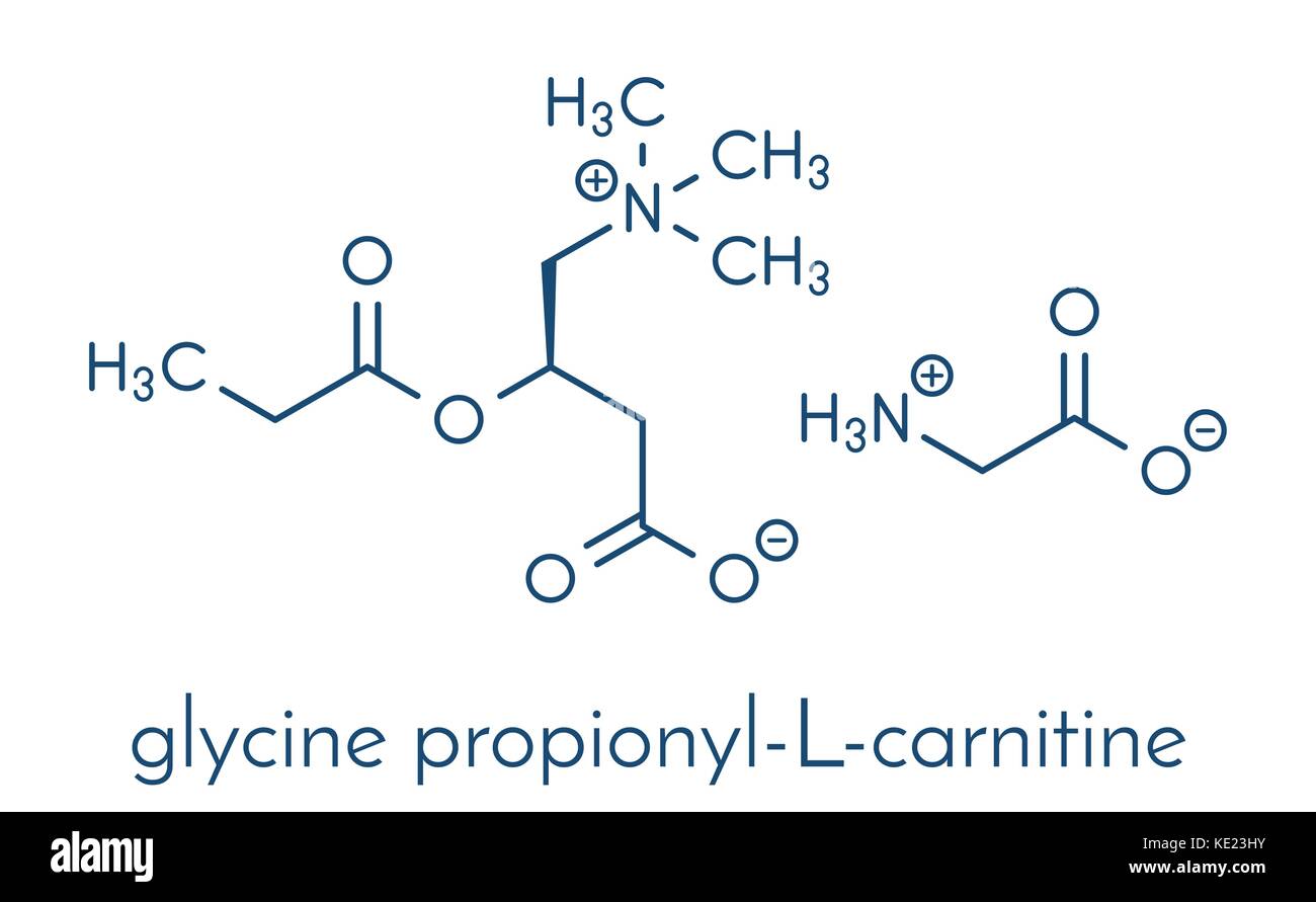 Propionyl carnitine hires stock photography and images Alamy