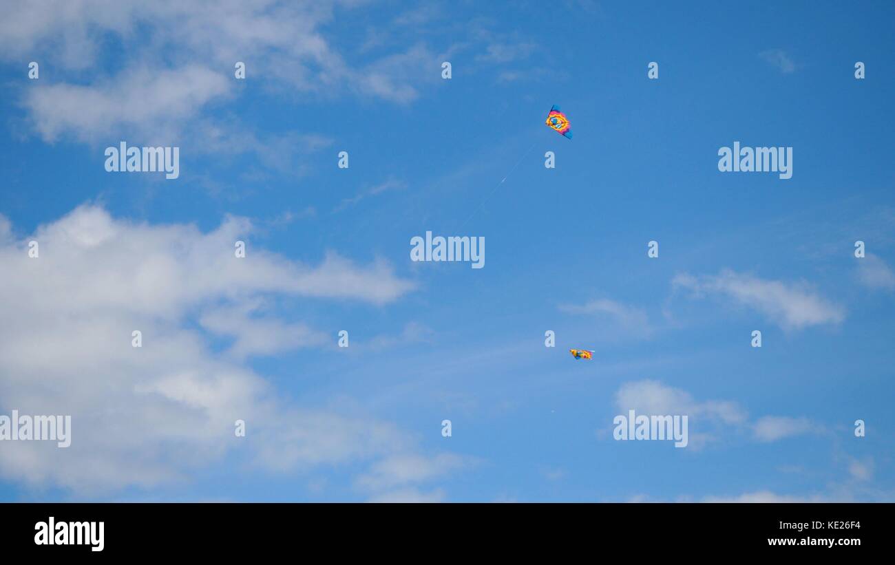 Kites in the sky. Colorful kites flying in blue sky. Under the blue sky flying kites photo Stock Photo