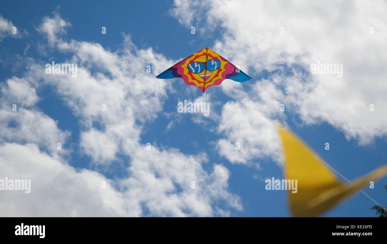 Kites in the sky. Colorful kites flying in blue sky. Under the blue sky