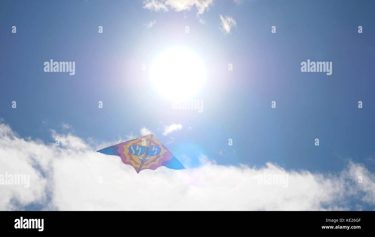 Kites in the sky. Colorful kites flying in blue sky. Under the blue sky