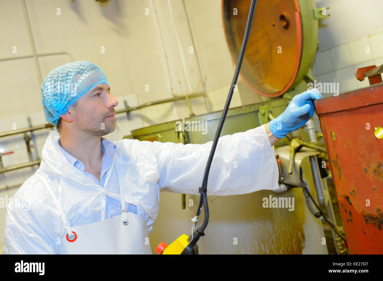 Food transformation process hires stock photography and images Alamy