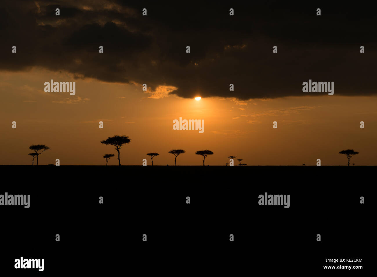 Maasai mara kenya landscape sunset hi-res stock photography and images ...