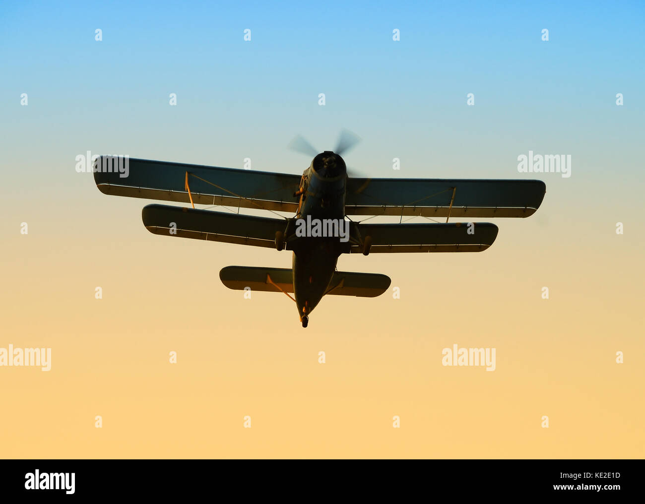 Old An-2 biplane in flight Stock Photo - Alamy