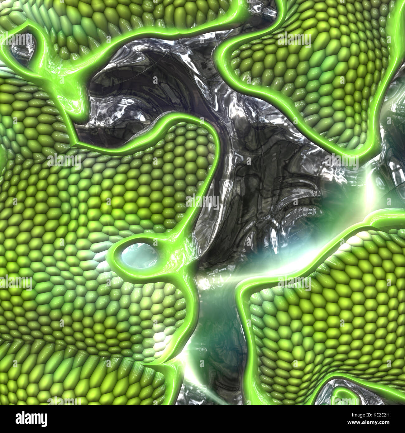 Reptile skin texture hi-res stock photography and images - Alamy