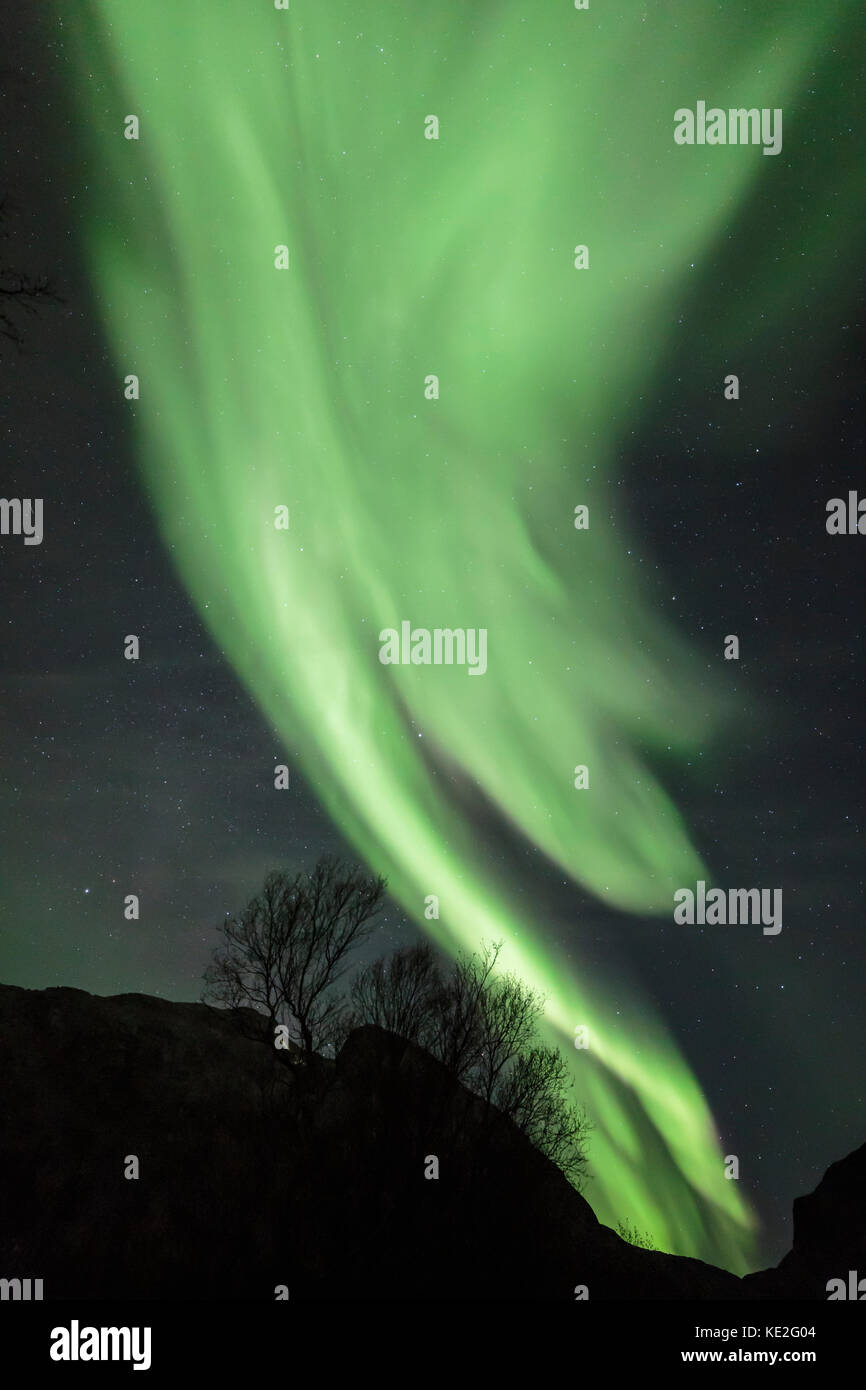 Aurora Borealis Or Northern Lights Active Coloured Curtains Moving aurora-borealis-or-northern-lights-active-coloured-curtains-moving