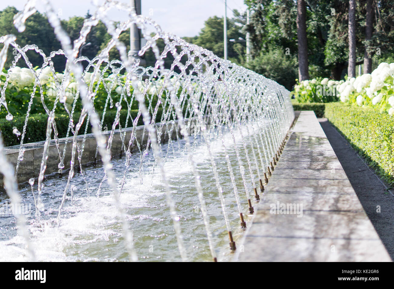 jet fountain in the park at summer. background, water Stock Photo
