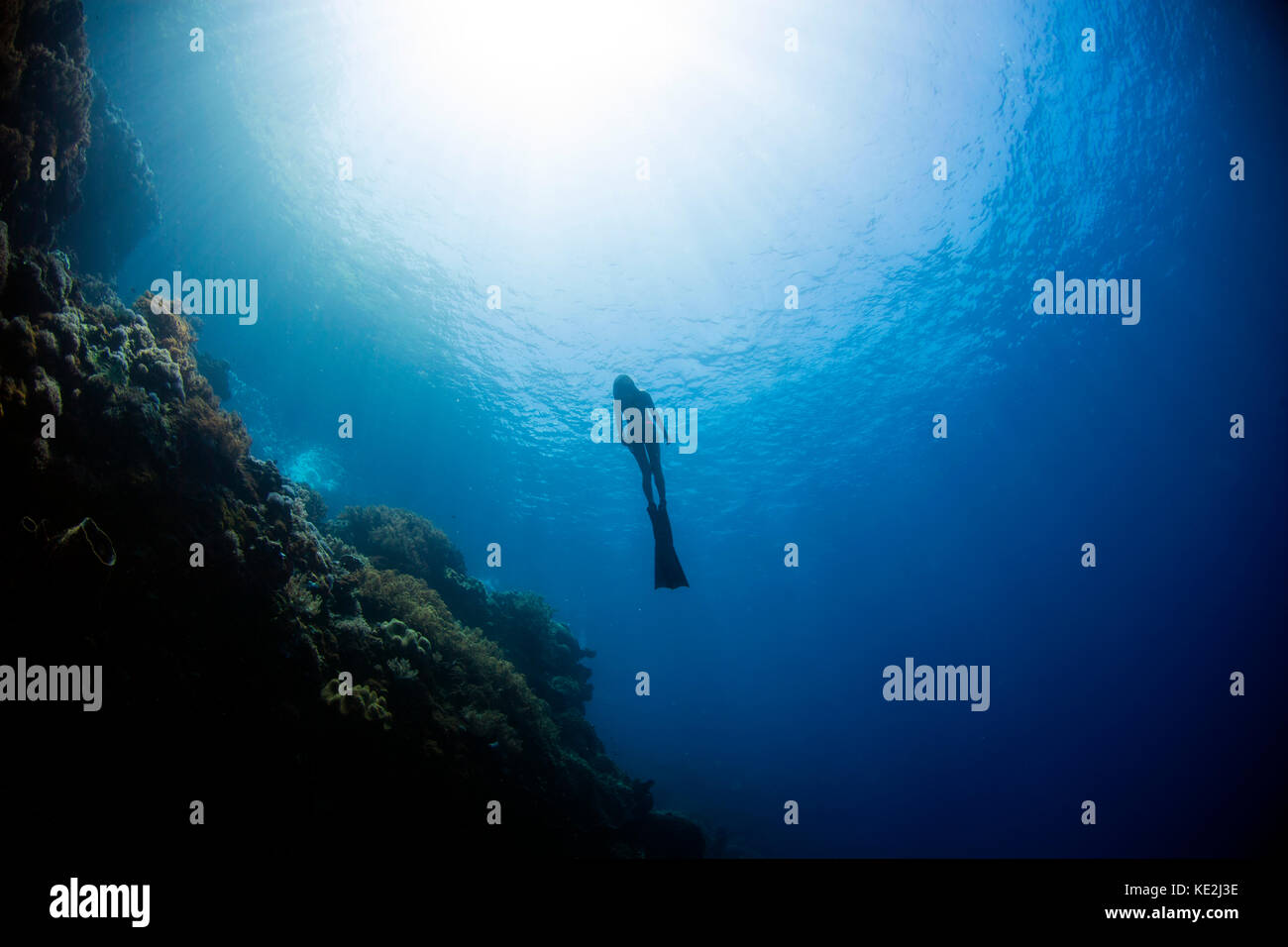 Free diver rising from the deep in the Banda Sea, Indonesia Stock Photo