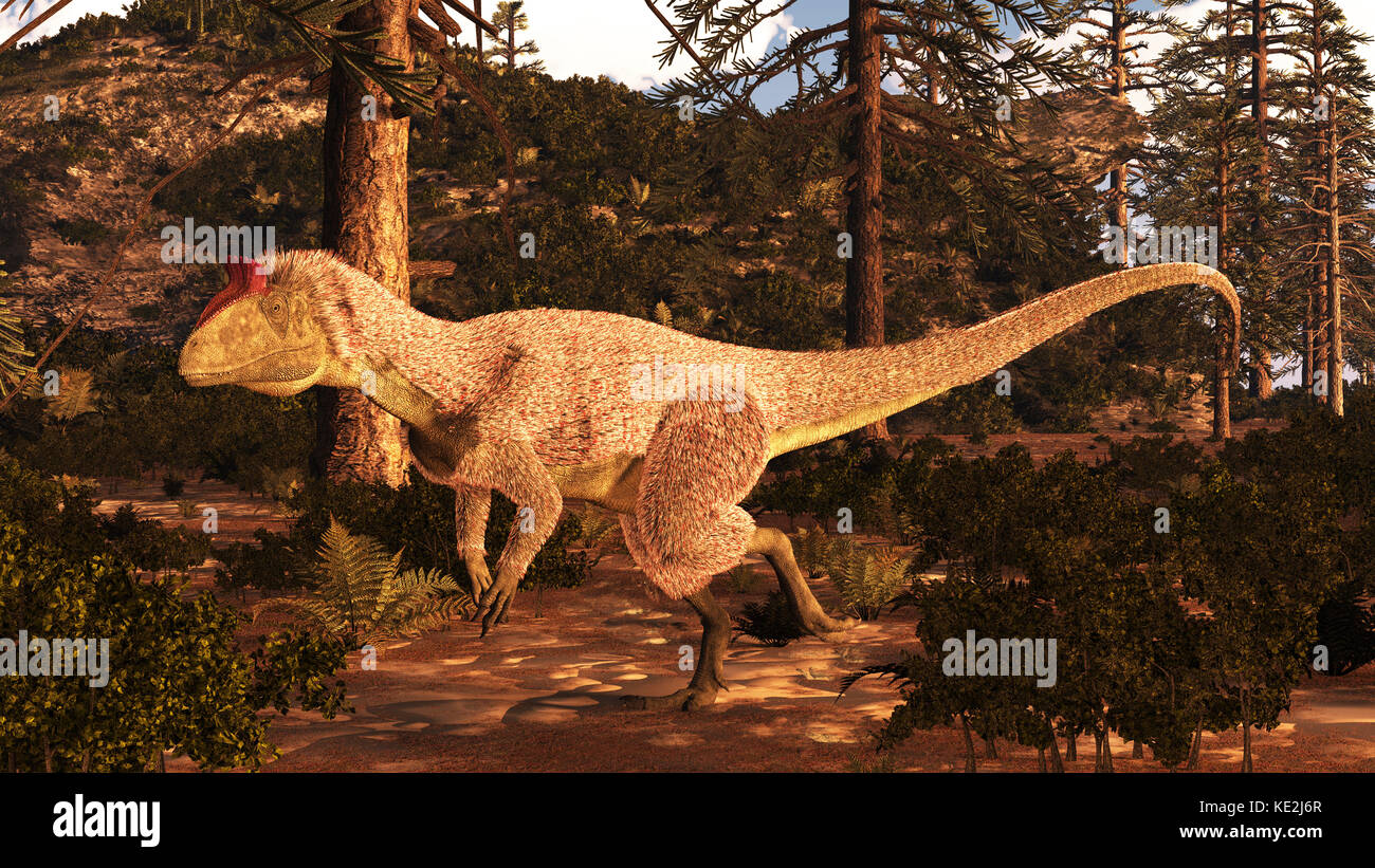 Cryolophosaurus hunting in Antarctica Stock Photo - Alamy
