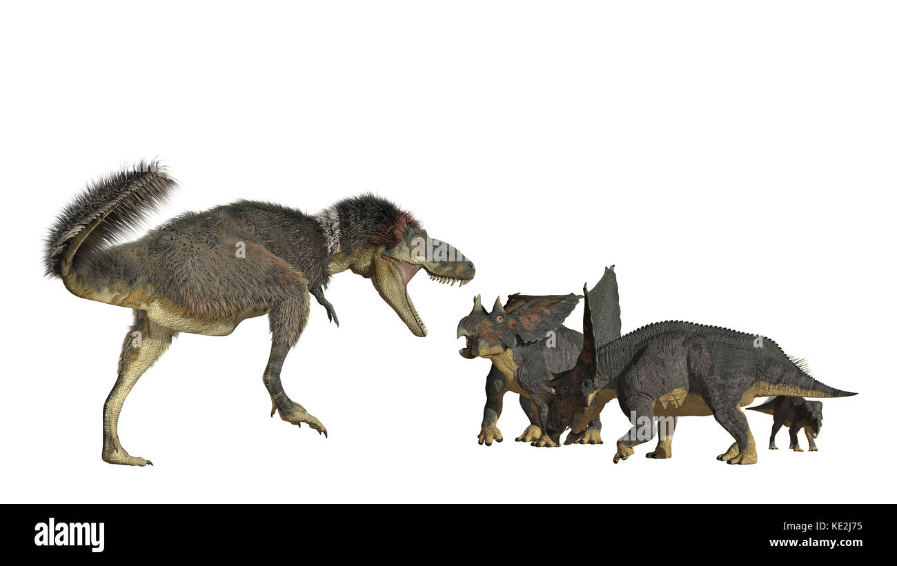 Daspletosaurus attacking a group of Chasmosaurus dinosaurs. Stock Photo