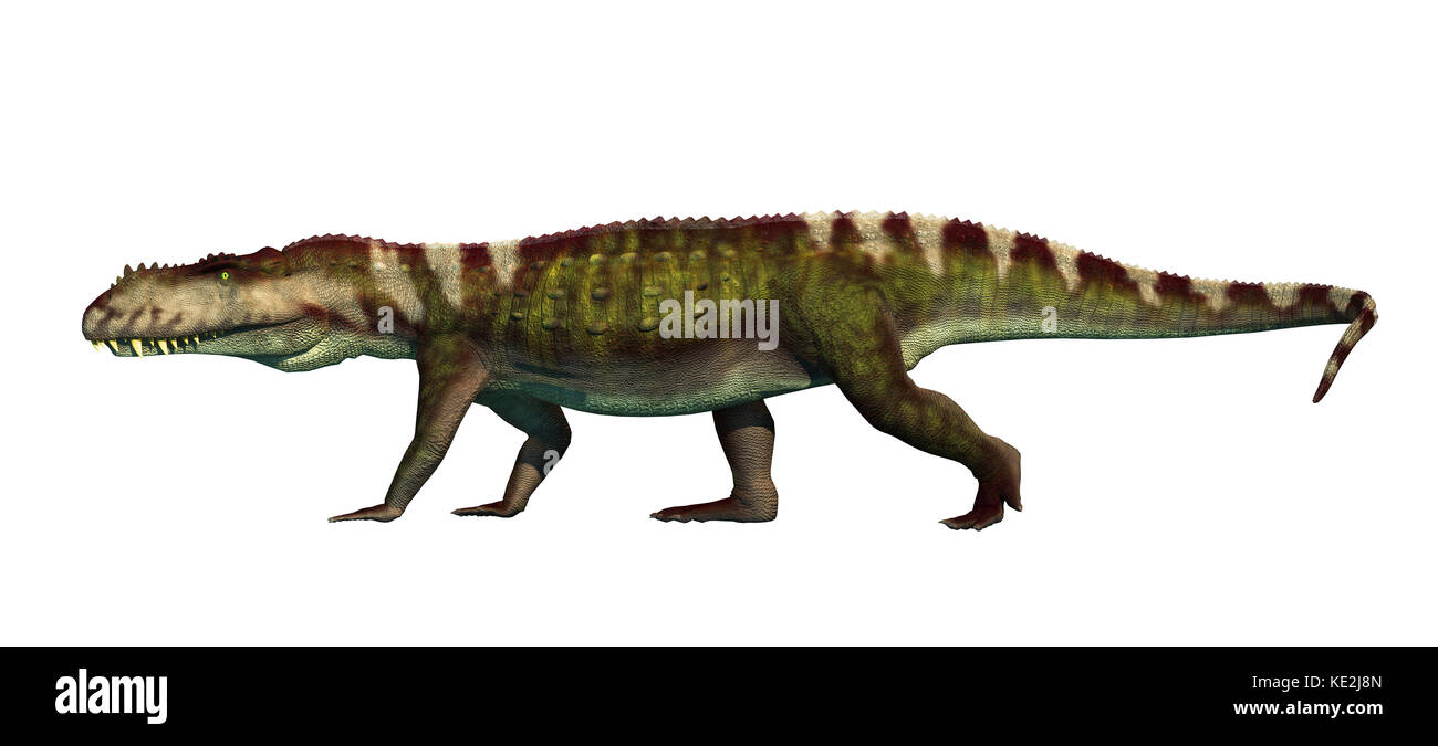 Prestosuchus archosaur from the middle Triassic. Stock Photo