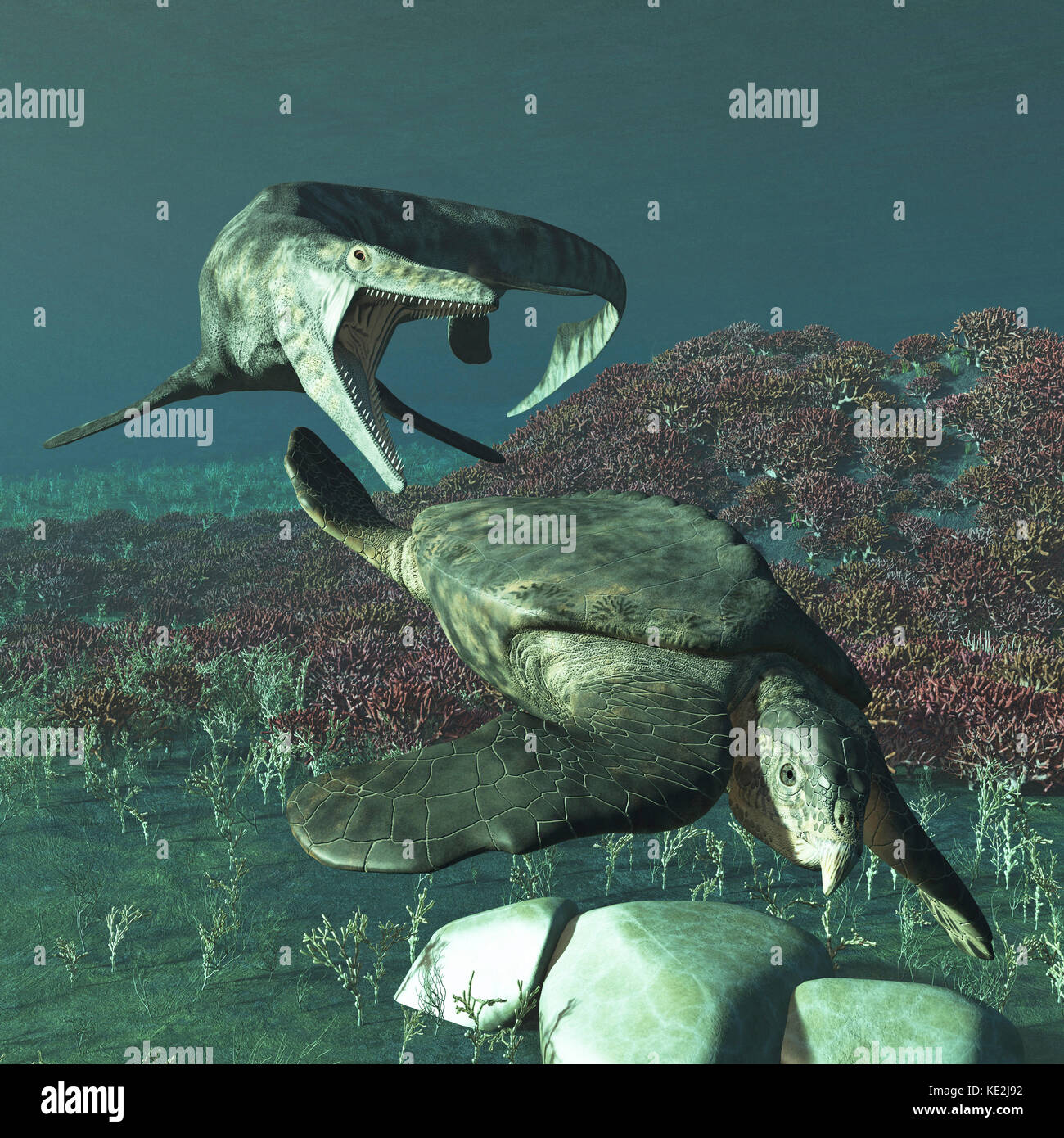 Tylosaurus proriger preying on a giant Archelon sea turtle. Stock Photo