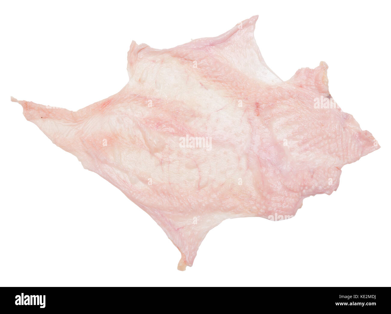 Raw Chicken Skin Isolated On White Background Stock Photo Alamy Raw Chicken Skin Isolated On White Background Stock Photo Alamy