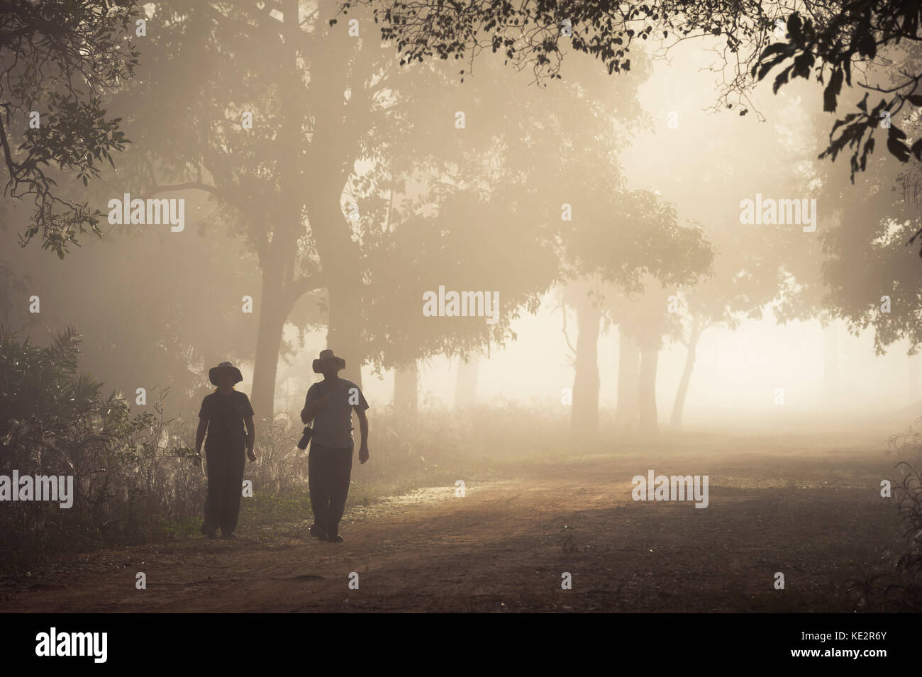 Two tourists exploring a misty morning in North Pantanal, Brazil Stock Photo