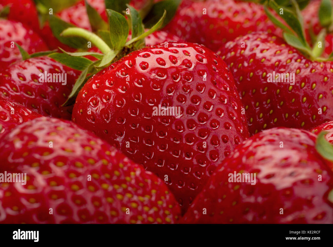 Ripe strawberry fruit berry closeup background Stock Photo - Alamy
