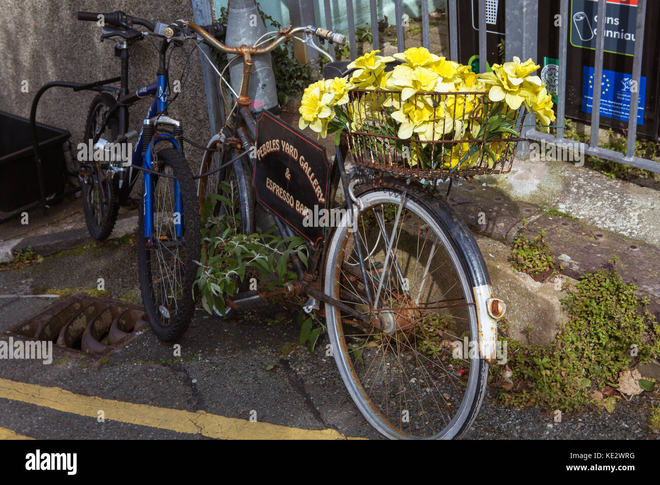 Vintage bike basket filled with flowers Stock Photo Alamy