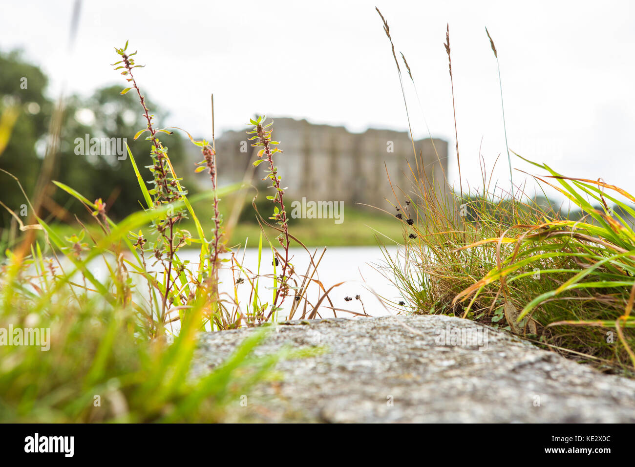 Carew Castle Stock Photo