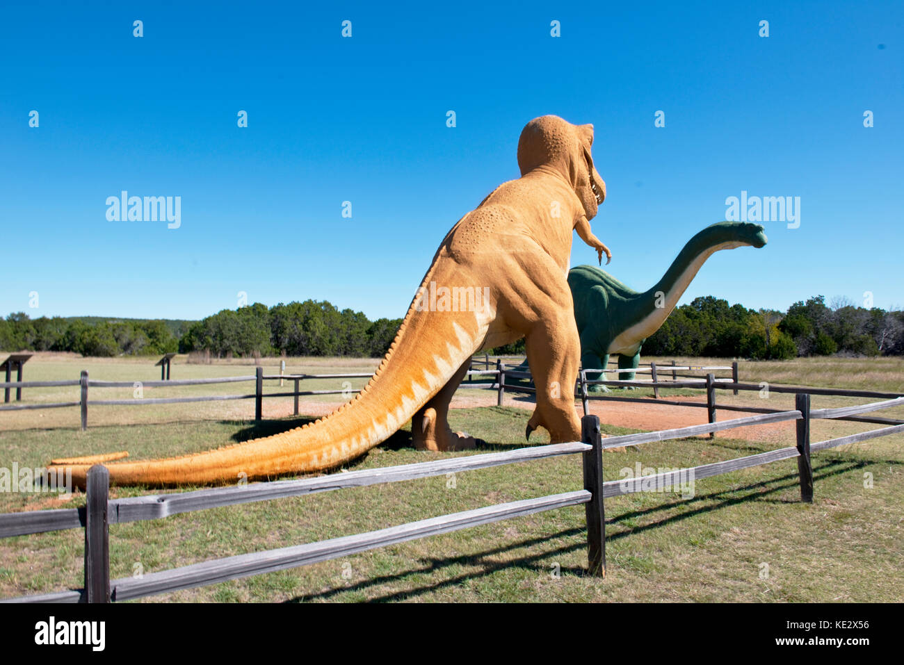 Dinosaur Valley State Park in Glen Rose,Texas. Stock Photo