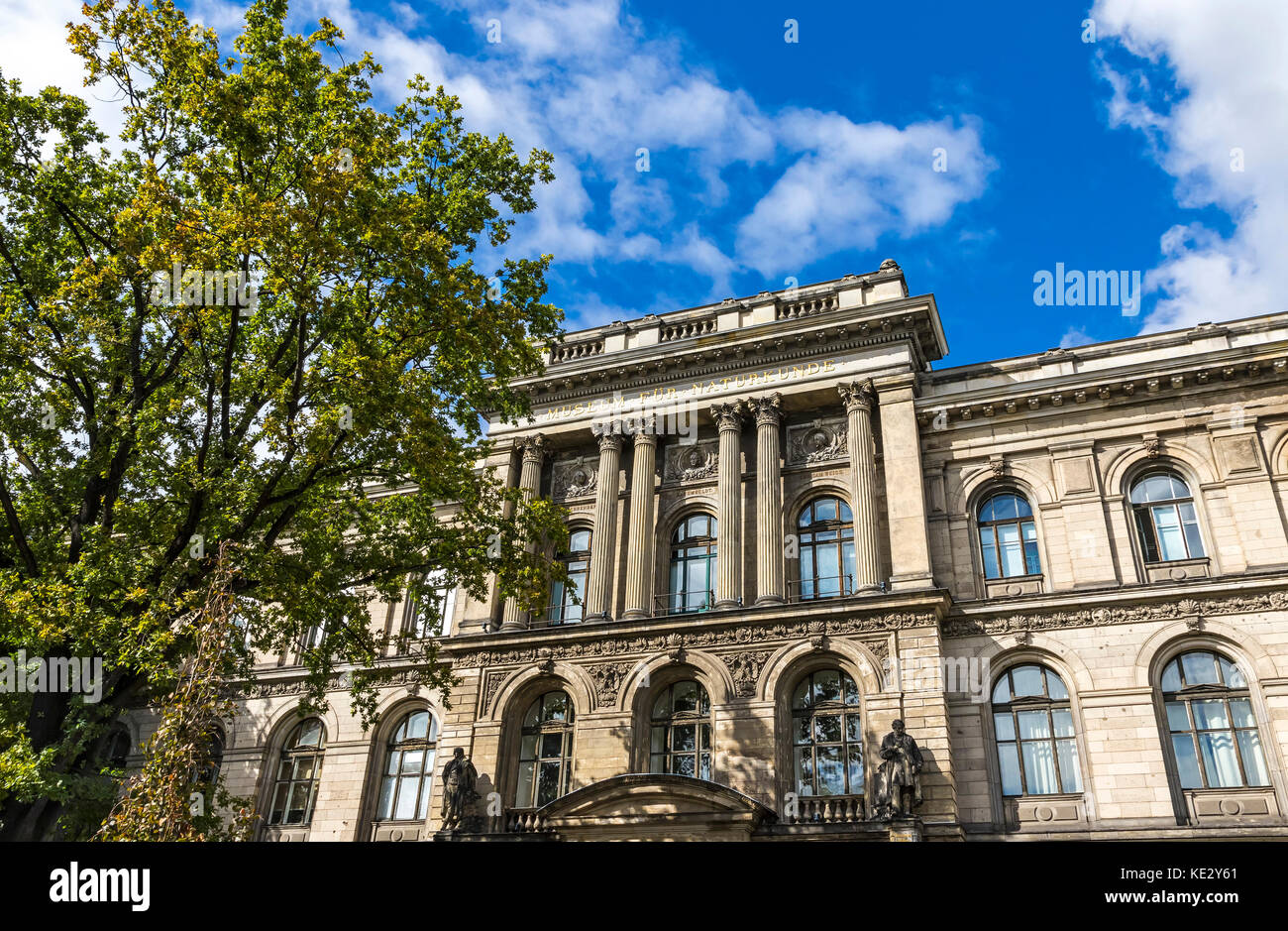 natural-history-museum-berlin-hi-res-stock-photography-and-images-alamy