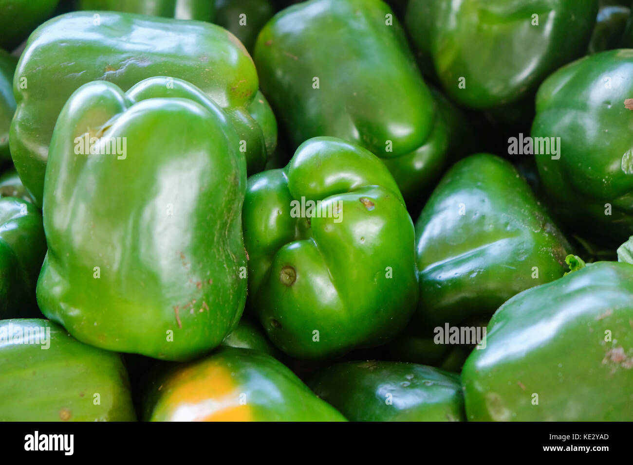 Green bell peppers at farmer's market Stock Photo - Alamy