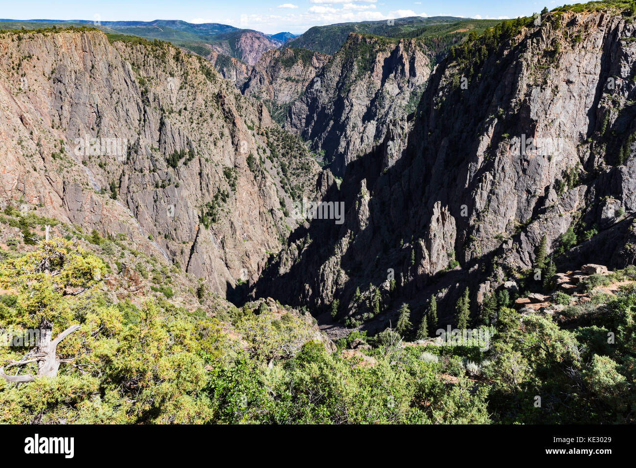 Precambrian gneiss and schist, Black Canyon of the Gunnison National Park, Colorado, USA Stock Photo