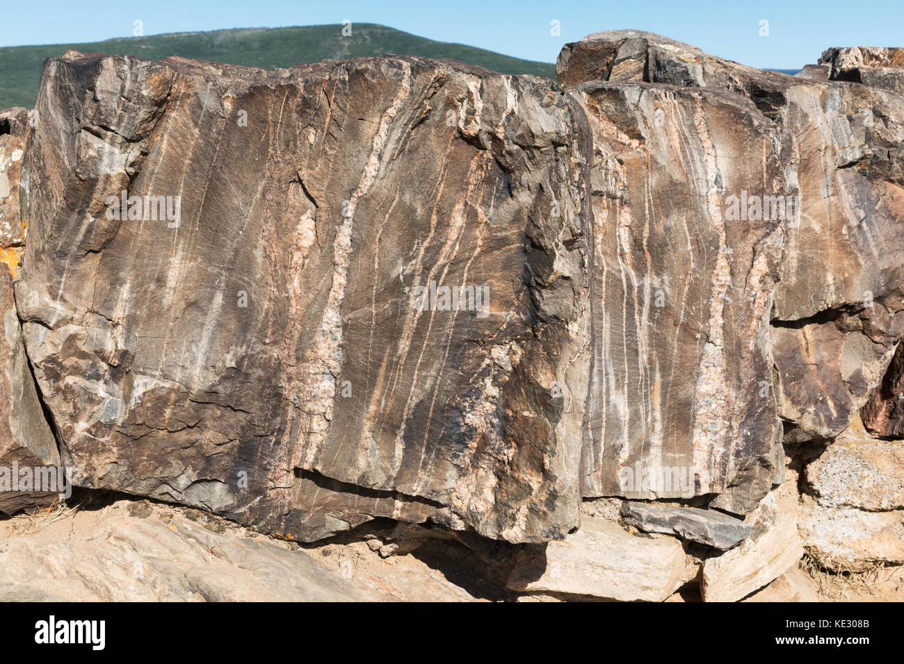 Pegmatite (lighter color) running through Precambrian gneiss and schist, Black Canyon of the Gunnison National Park, Colorado, USA Stock Photo