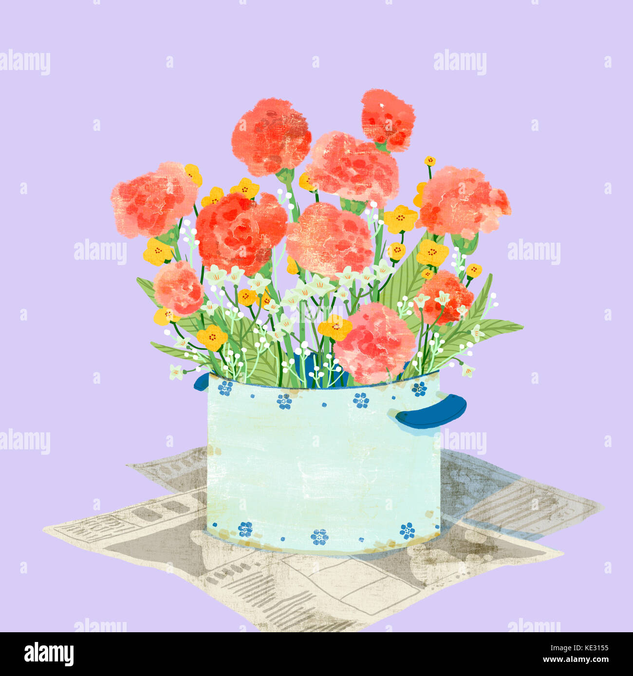 Carnation flowers in a pot for Parent's Day Stock Photo Alamy