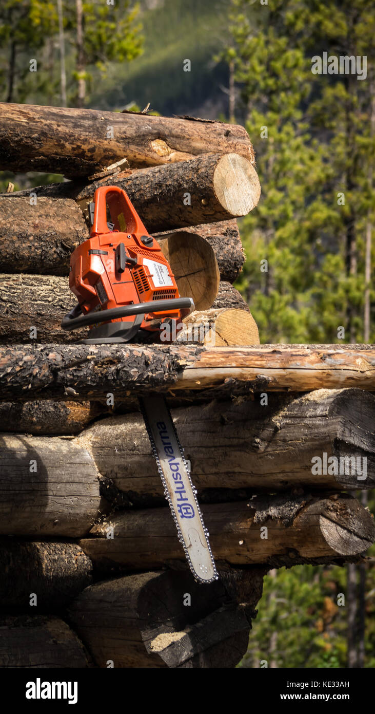 Chainsaw sitting on a log - building a log cabin out of Lodgepole Pine logs in the wilderness using simple tools and chainsaw(s). Stock Photo