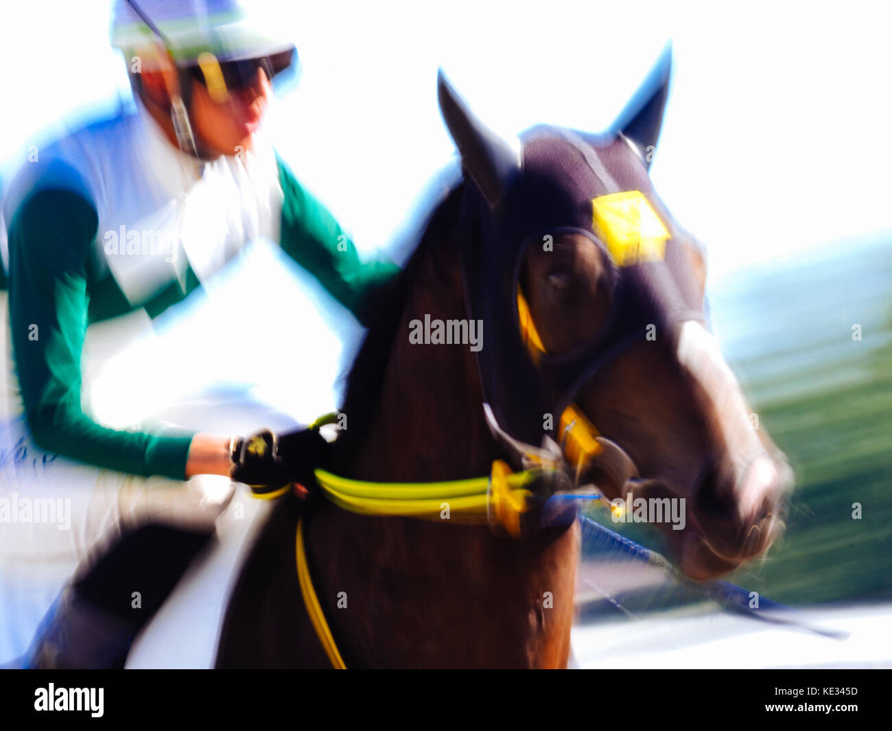 Throughbred Racing Image Athletic horse racing hi-res stock photography and images - Alamy